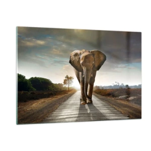 Glasbild - Bild auf glas - Ein Elefant, der bei Sonnenuntergang die Straße entlang läuft - 120x80cm - Und schon gar nicht in einem Porzellanlager - Moderne Wanddekoration für Wohnzimmer und Schlafzimmer ARTTOR
