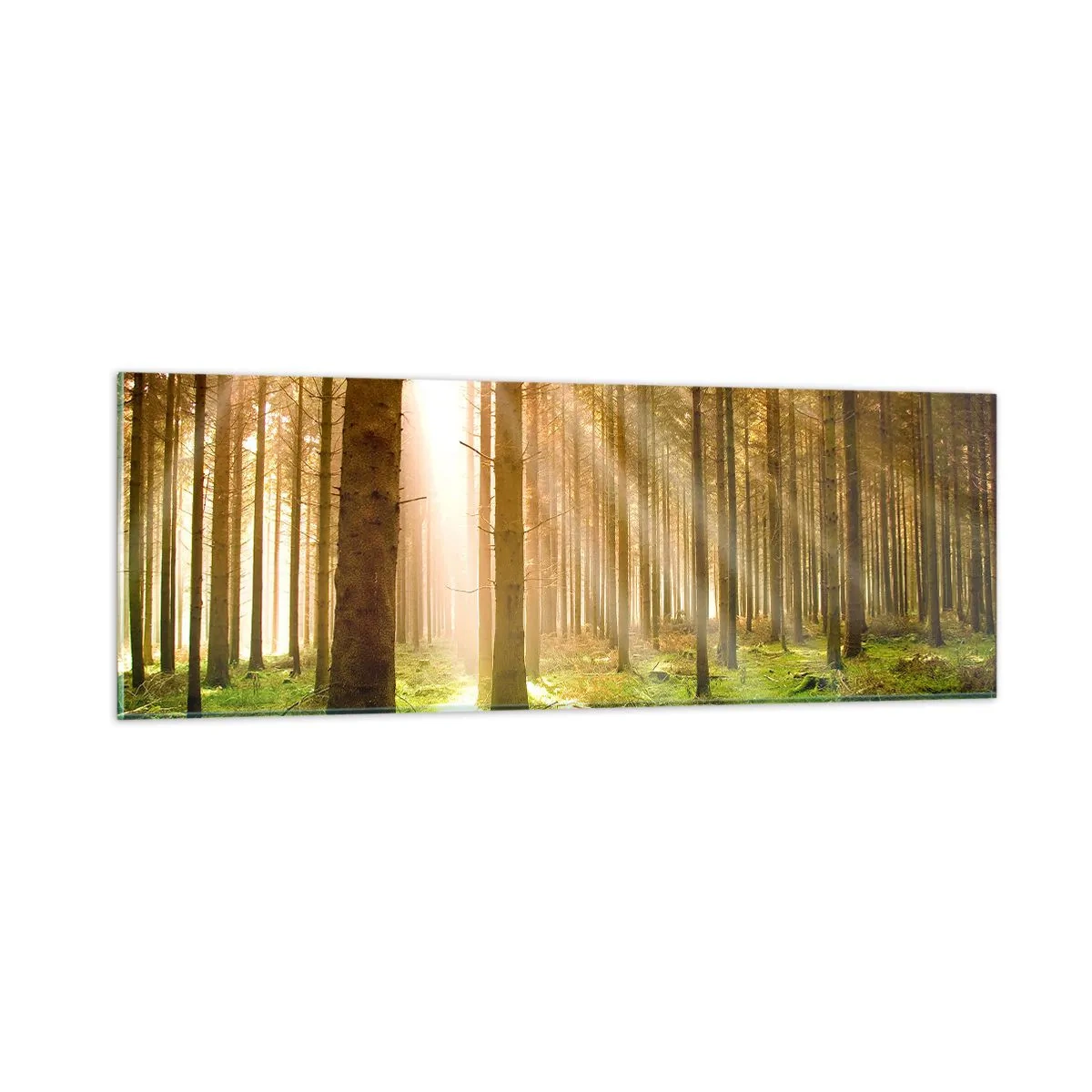 Glasbild - Bild auf glas - Die Elfen werden bald erscheinen - 90x30 cm