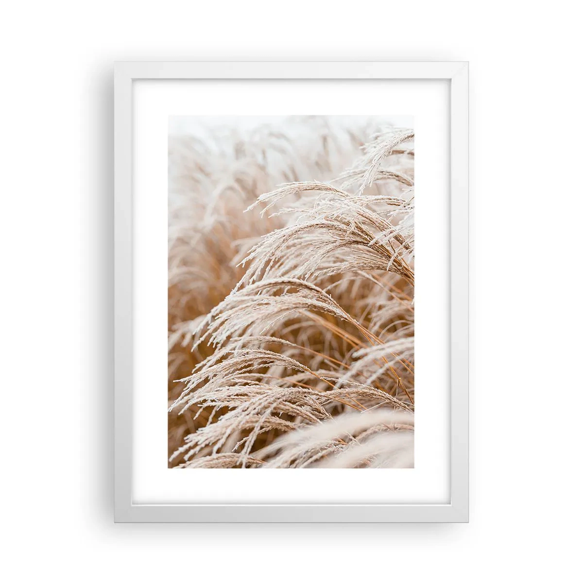 Poster in einem weißen Rahmen - Verbeuge dich vor der Herbstsonne - 30x40 cm