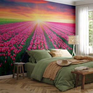 Fototapete Premium Canvas - Schönheitsfarm - Blumen, Tulpen, Sonnenuntergang - 300x210 cm