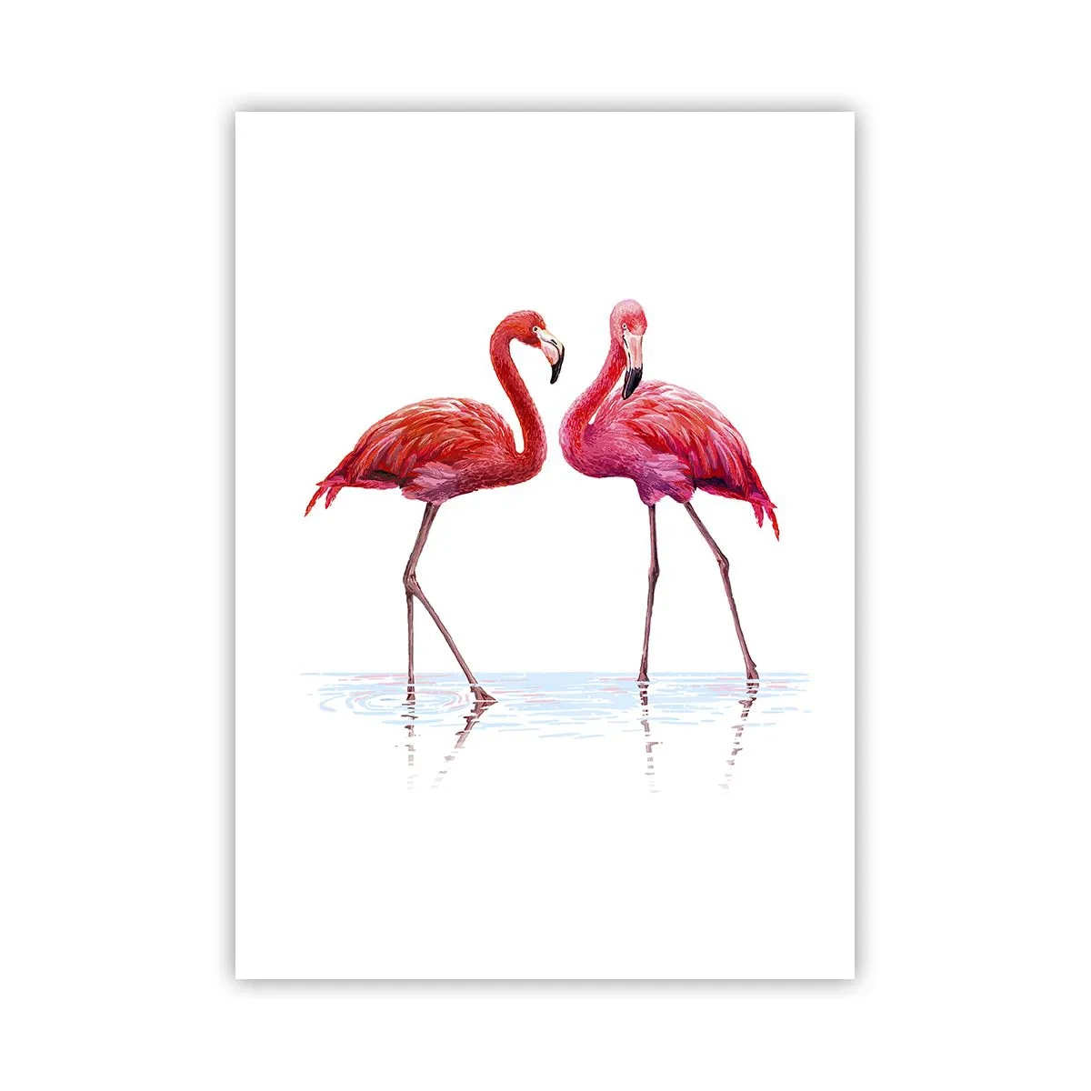Poster - Zwei Flamingos auf weißem Hintergrund mit Spiegelbild im Wasser - 50x70cm - Rosa randez-vous - Moderne Wanddekoration für Wohnzimmer und Schlafzimmer ARTTOR