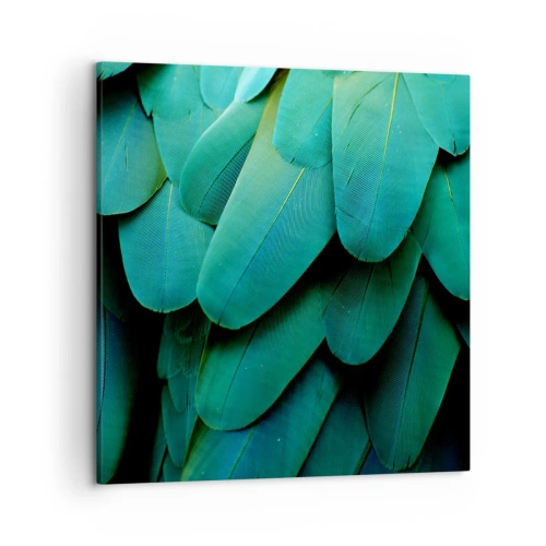 Bild auf Leinwand - Leinwandbild - Papageienartige Präzision - 50x50 cm