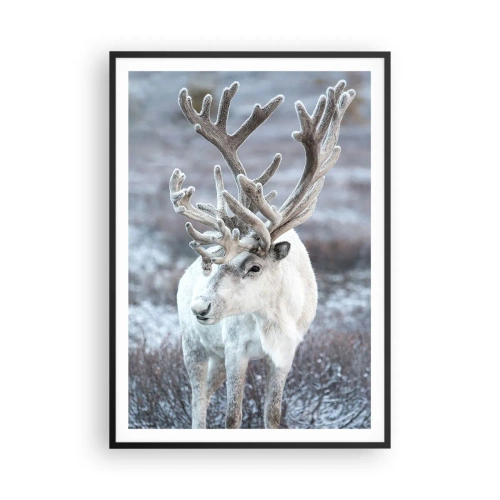 Poster in einem schwarzem Rahmen - Porträt in der Sonne - 70x100 cm