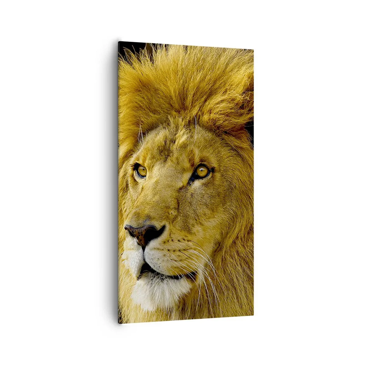 Bild auf Leinwand - Leinwandbild - Porträt des Königs - 65x120 cm