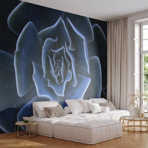 Selbstklebende Fototapete Deluxe Sticker - Wüstenblume - Agavenblüte, Blume, Natur - 300x210 cm