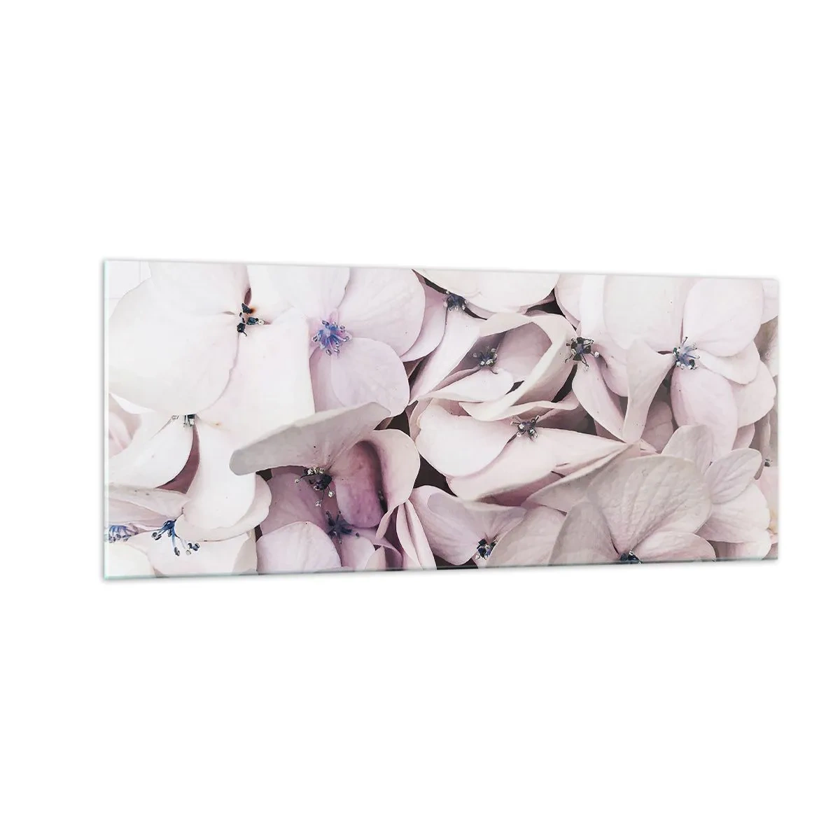 Glasbild - Bild auf glas - In einer Blumenflut - 100x40 cm