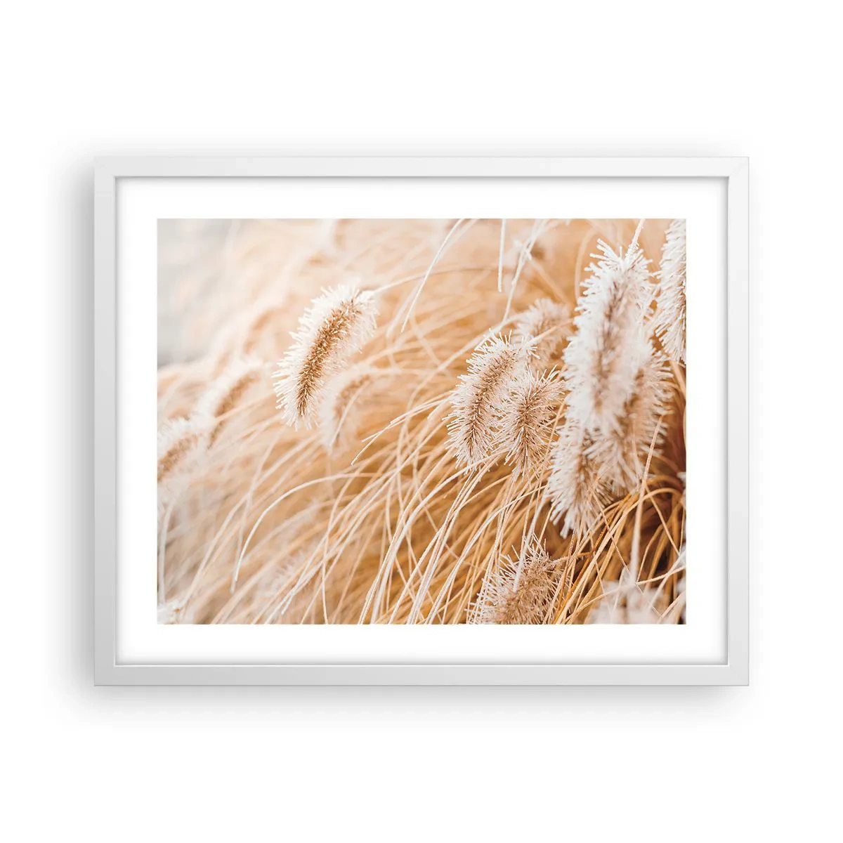Poster in einem weißen Rahmen - Das goldene Rauschen des Grases - 50x40 cm