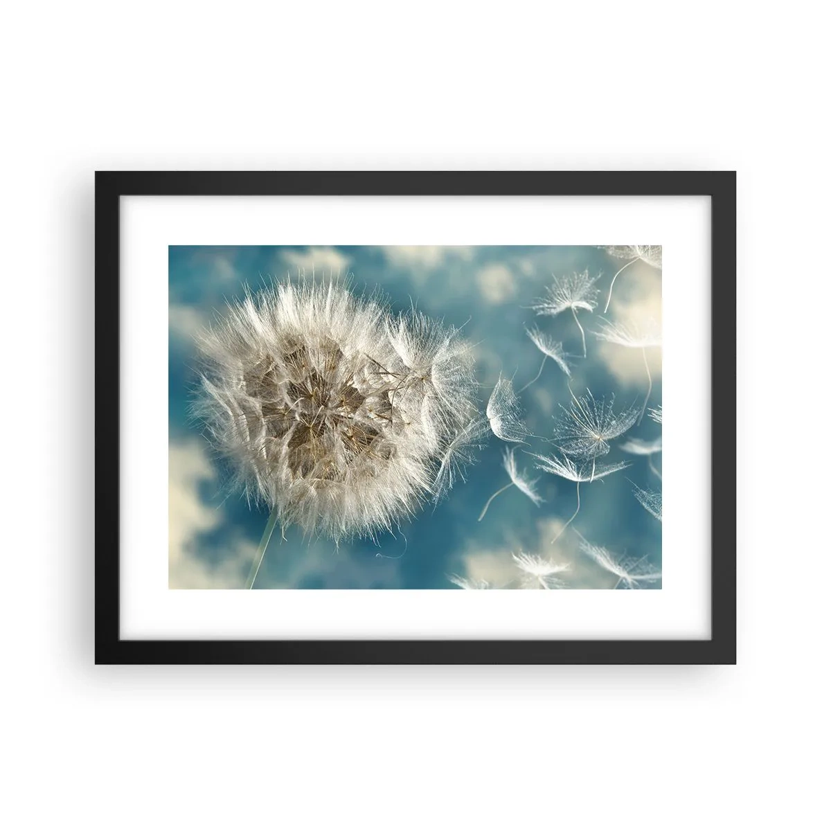 Poster in einem schwarzem Rahmen - Engelsatem - 40x30 cm