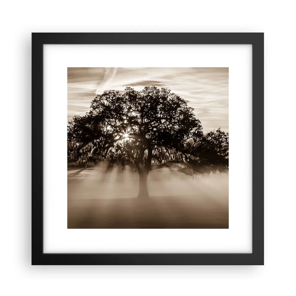 Poster in einem schwarzem Rahmen - Baum der guten Nachrichten - 30x30 cm