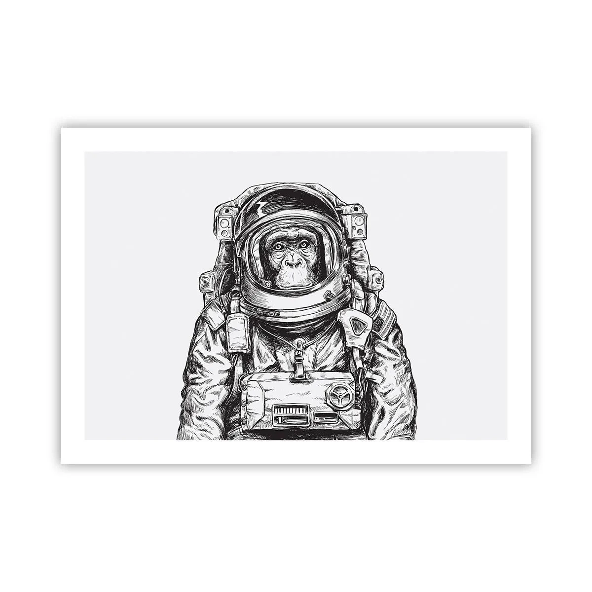 Poster - Alternative Evolution - 70x50 cm