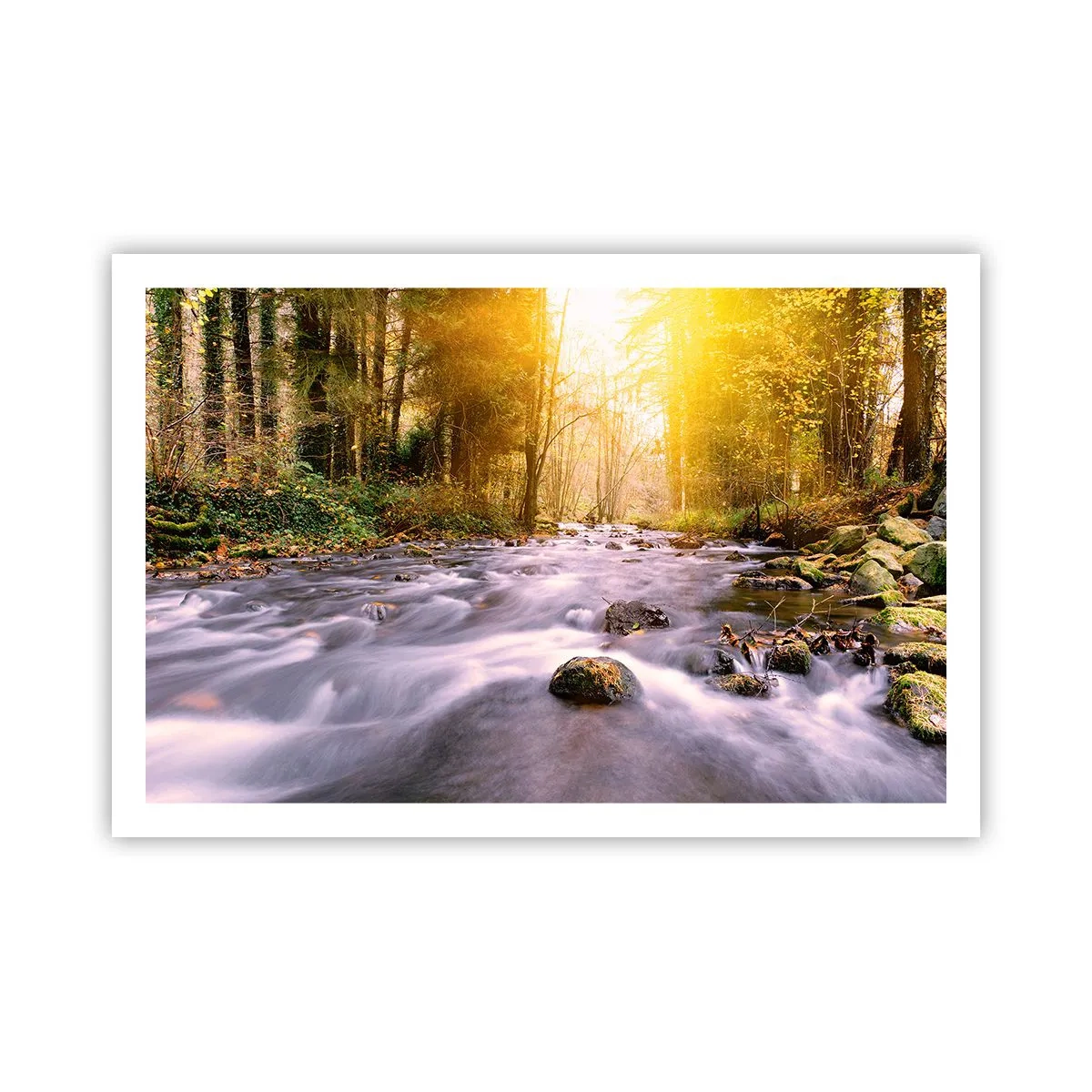 Poster - Malachit im Silber- und Goldrahmen - 91x61 cm