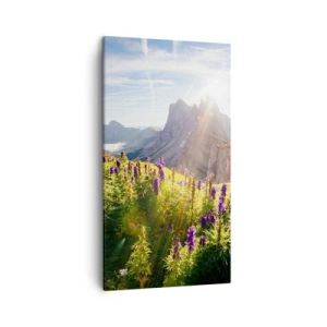 Bild auf Leinwand - Leinwandbild - Das geheime Leben der Kräuter - 45x80 cm
