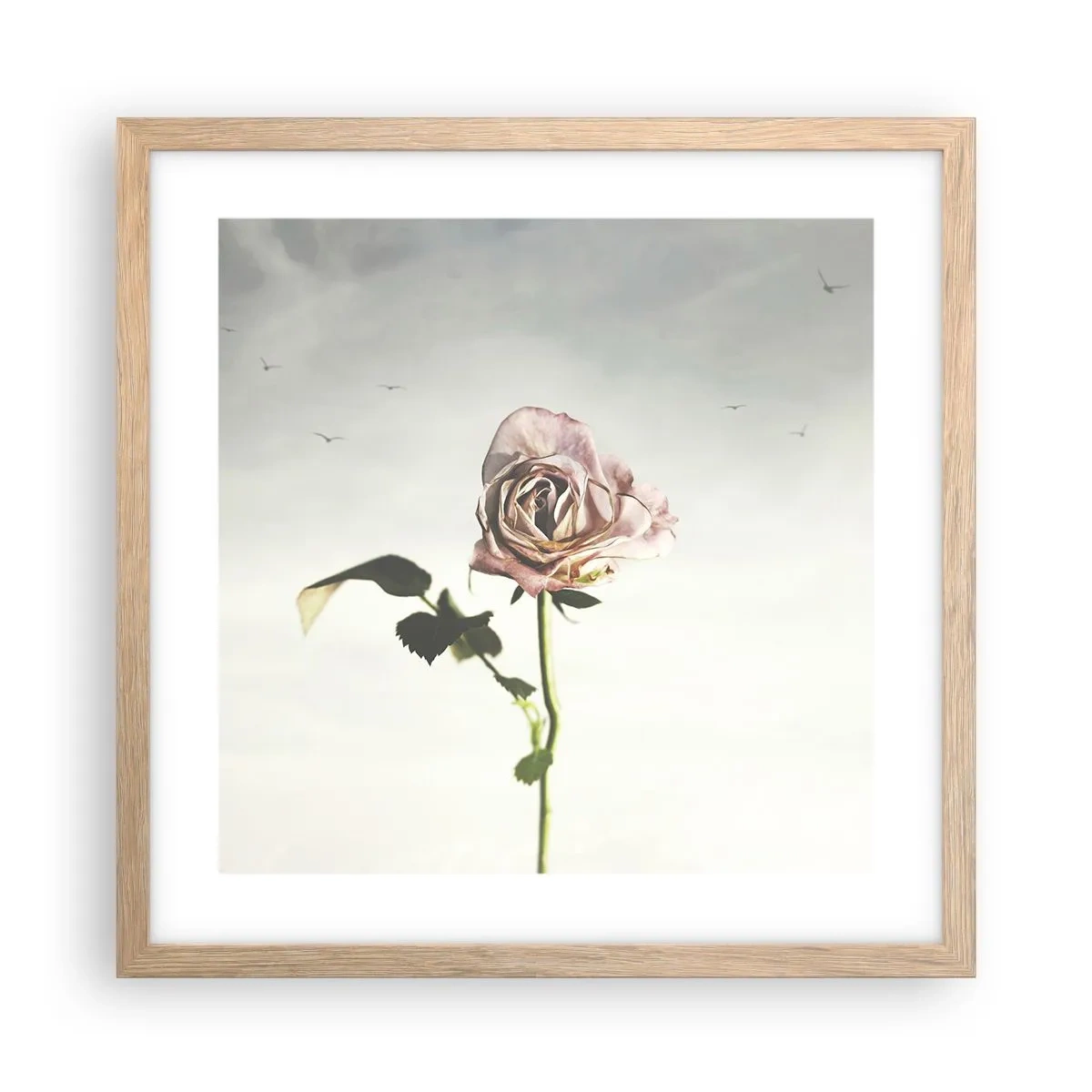 Poster in einem Rahmen aus heller Eiche - Begrüßung des Frühlings - 40x40 cm