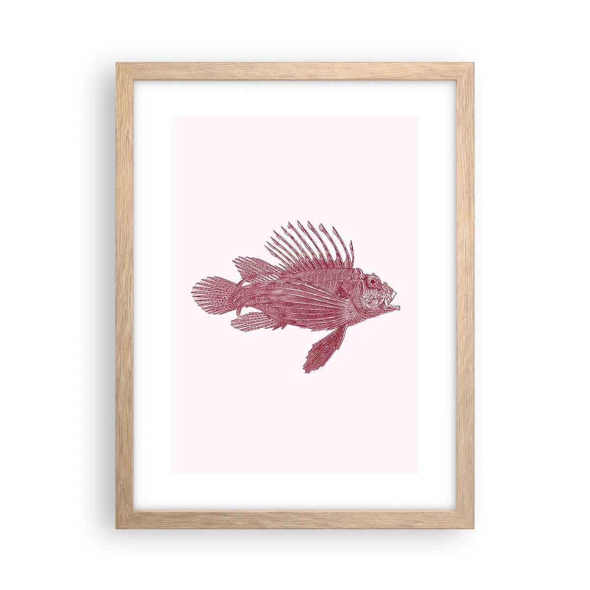 Poster in einem Rahmen aus heller Eiche - Bewohner exotischer Gewässer - 30x40 cm