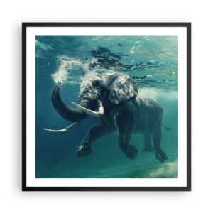 Poster in einem schwarzem Rahmen - Jeder schwimmt gerne - 60x60 cm