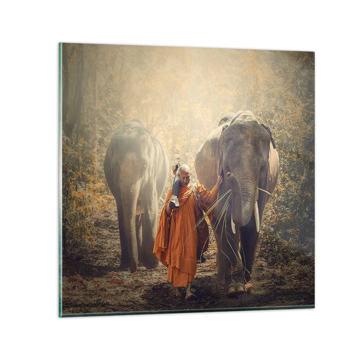 Glasbild - Bild auf glas - Volles Verständnis - 30x30 cm