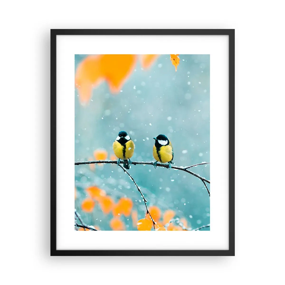 Poster in einem schwarzem Rahmen - Vogelklatsch - 40x50 cm