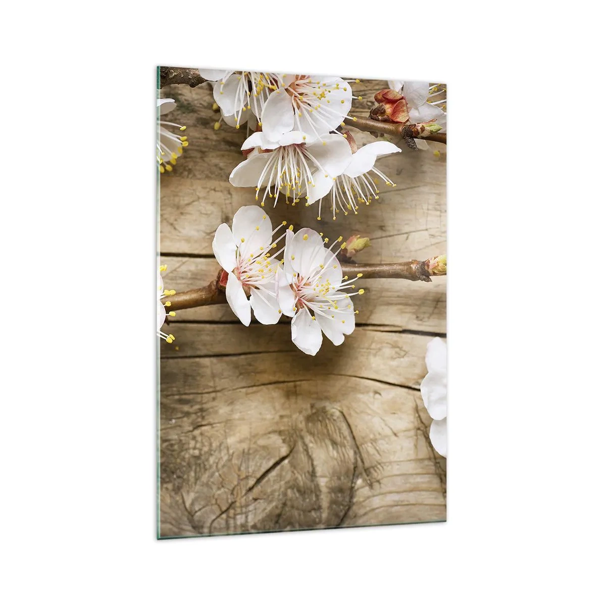 Glasbild - Bild auf glas - Zweige blühender Kirschbäume auf einem Holzbretthintergrund - 70x100cm - Und es war Frühling - Moderne Wanddekoration für Wohnzimmer und Schlafzimmer ARTTOR