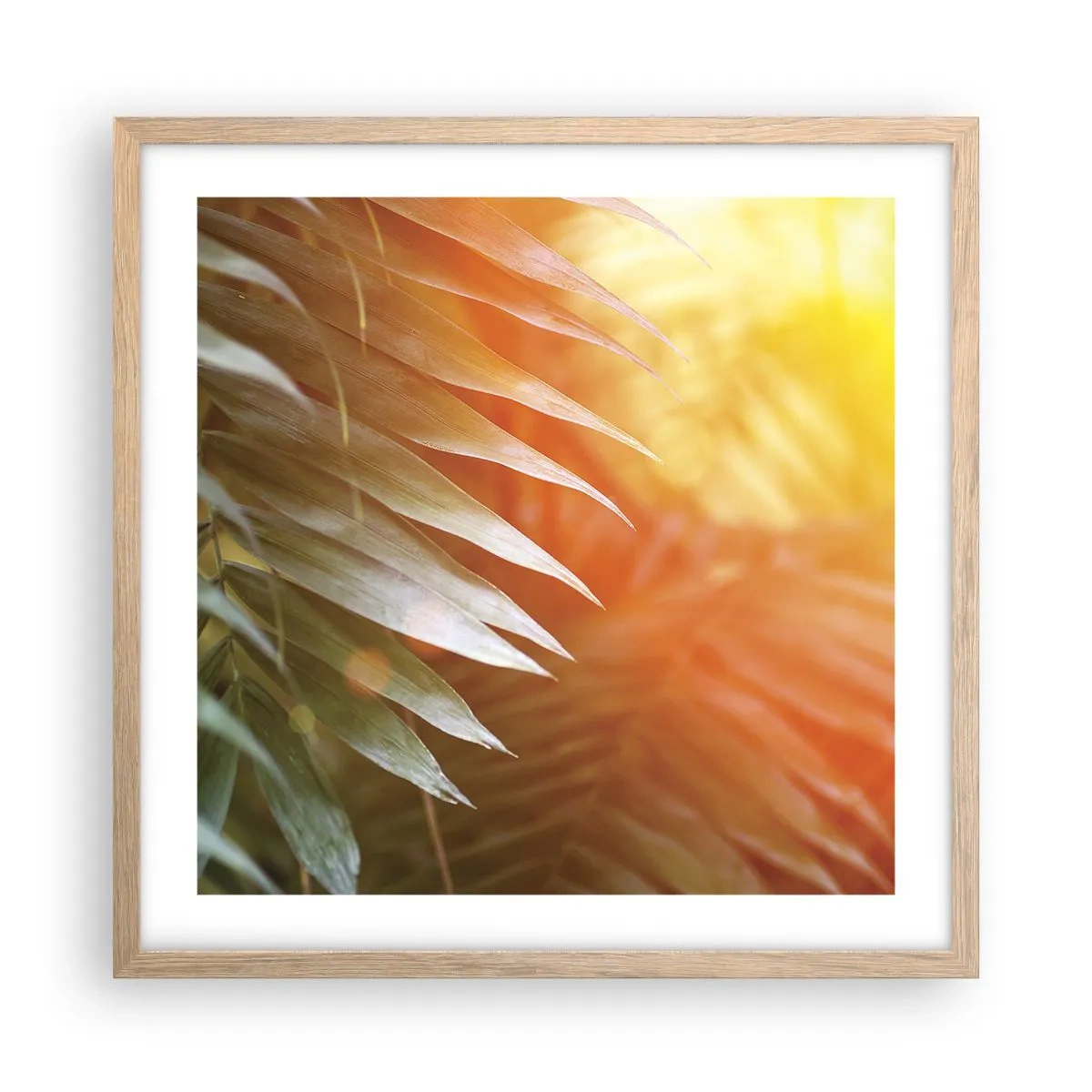 Poster in einem Rahmen aus heller Eiche - Morgen im Dschungel - 50x50 cm
