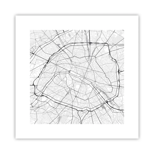Poster - Pariser Blume - 30x30 cm