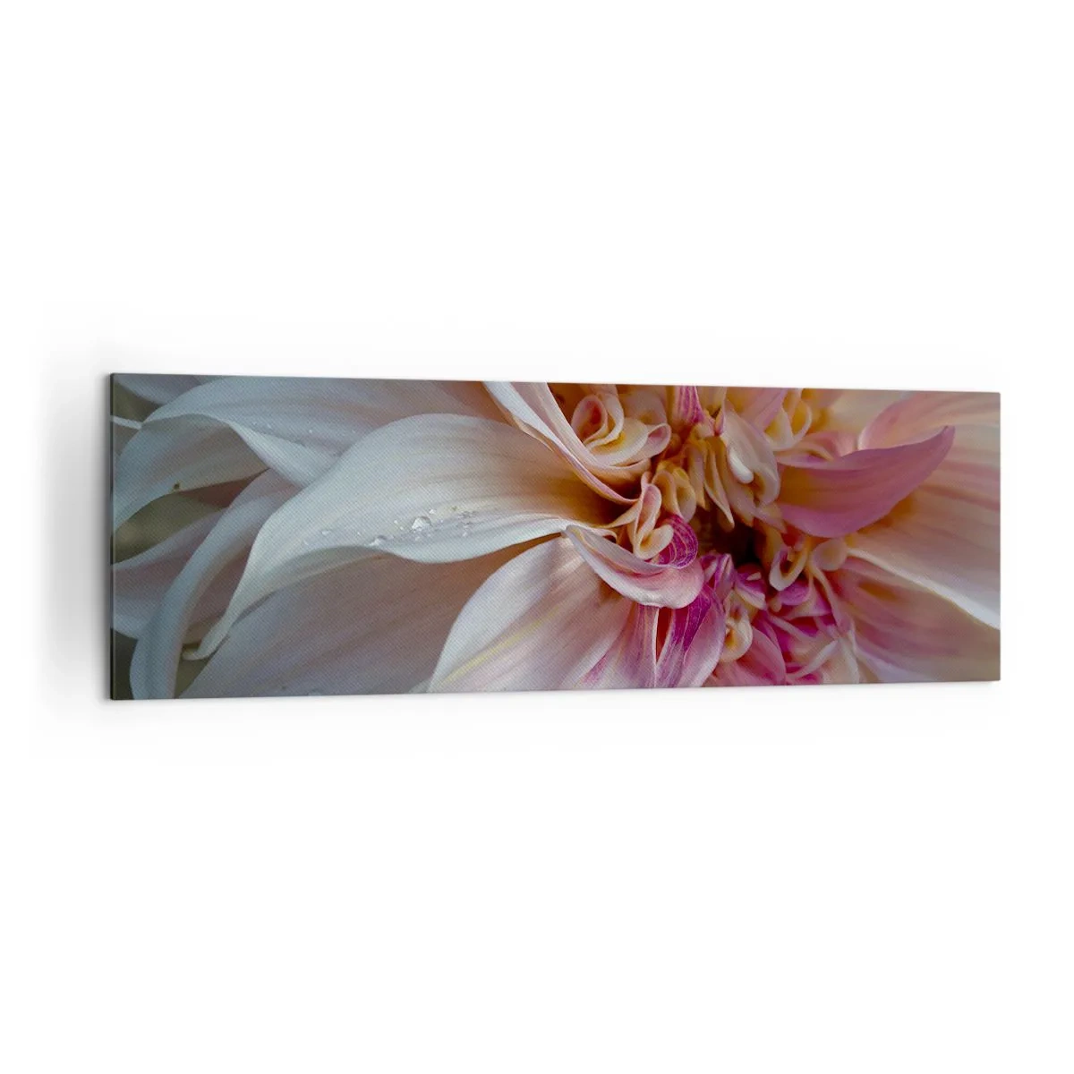 Bild auf Leinwand - Leinwandbild - Nahaufnahme von zarten rosa Blütenblättern mit Wassertropfen - 160x50cm - Blühende Frische - Moderne Wanddekoration für Wohnzimmer und Schlafzimmer ARTTOR