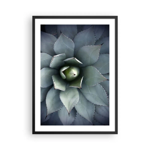 Poster in einem schwarzem Rahmen - Eine Nahaufnahme der symmetrischen Blätter einer Sukkulente in Grüntönen. - 50x70cm - Es lockt an und warnt - Moderne Wanddekoration für Wohnzimmer und Schlafzimmer ARTTOR