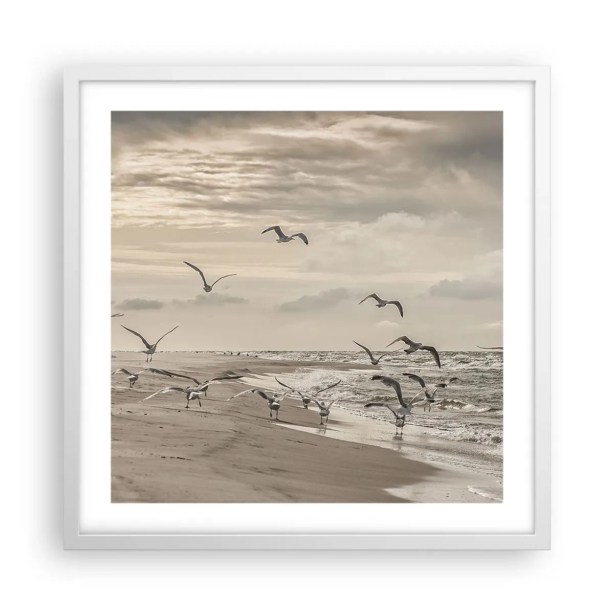 Poster in einem weißen Rahmen - Meeresrauschen, Vogelgesang - 50x50 cm