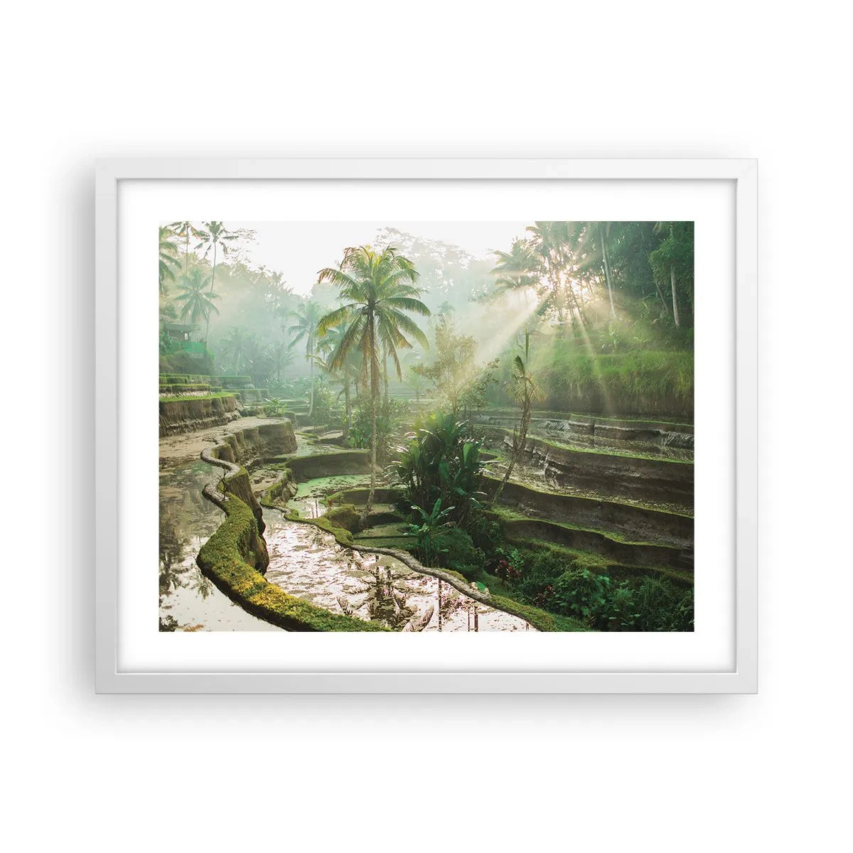 Poster in einem weißen Rahmen - In der Sonne aufwachsen - 50x40 cm