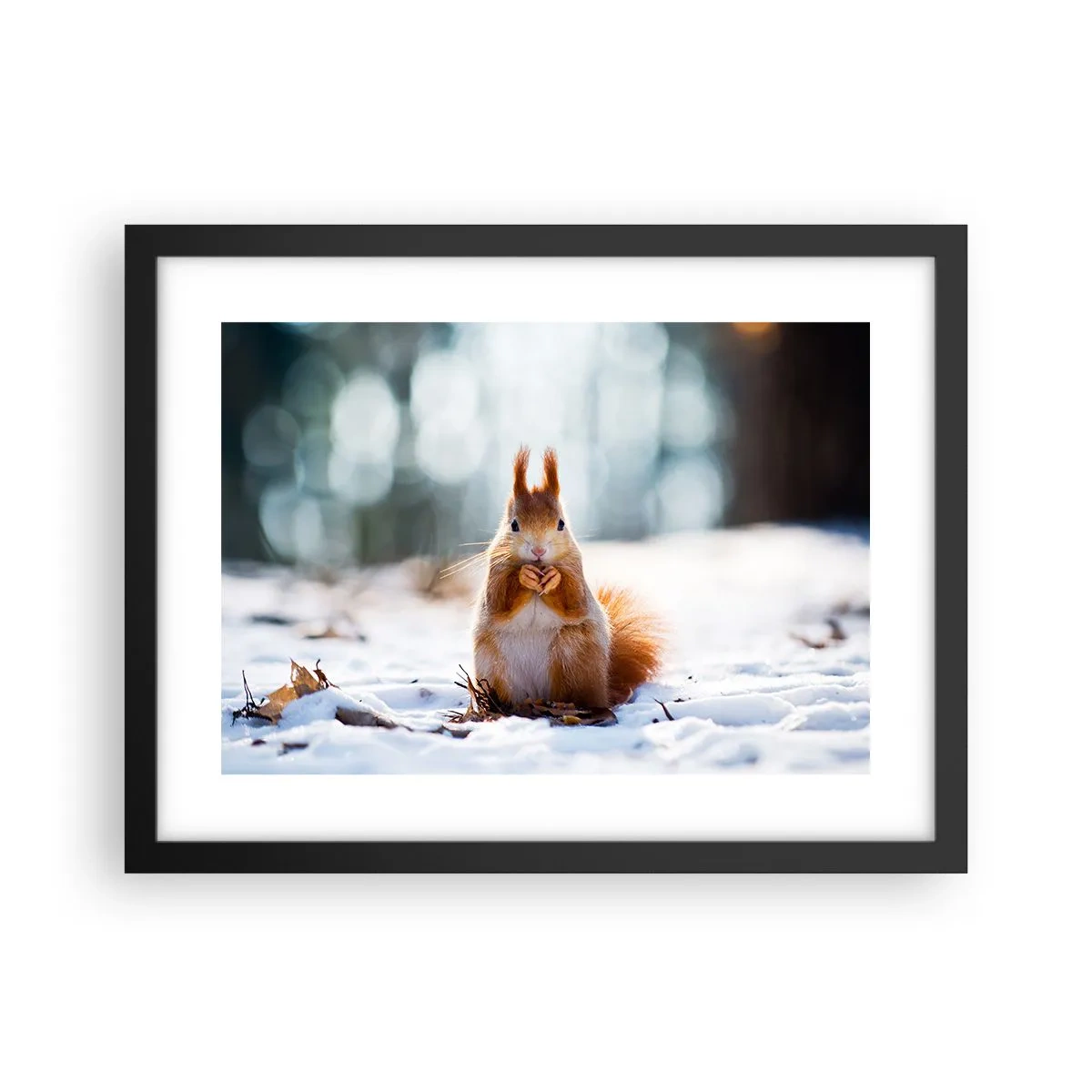 Poster in einem schwarzem Rahmen - Wo schaust du hin? - 40x30 cm