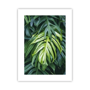 Poster - Tauchen Sie ein in die Frische - 30x40 cm