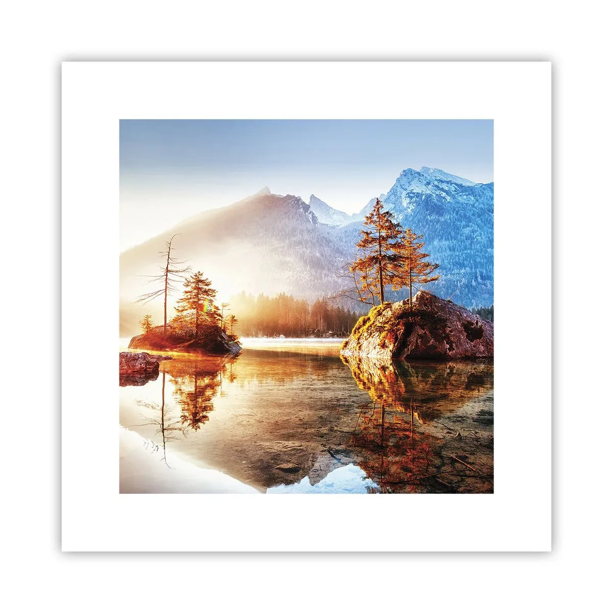Poster - Natur in neuem Licht - 30x30 cm
