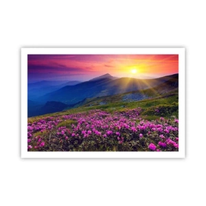 Poster - … Und drumherum duftet es nach Latschenkiefer und dem Duft von Kräutern - 91x61 cm