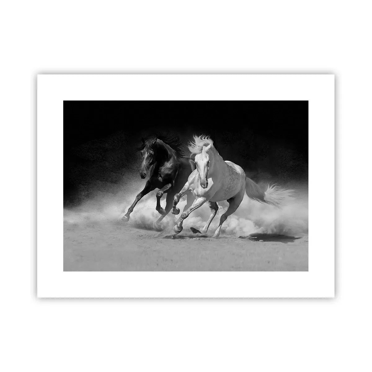 Poster - Galopp der Freiheit - 40x30 cm