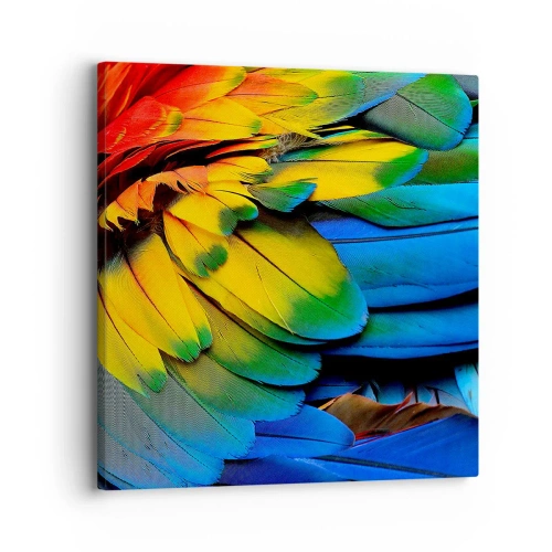 Bild auf Leinwand - Leinwandbild - Paradiesvogel - 30x30 cm