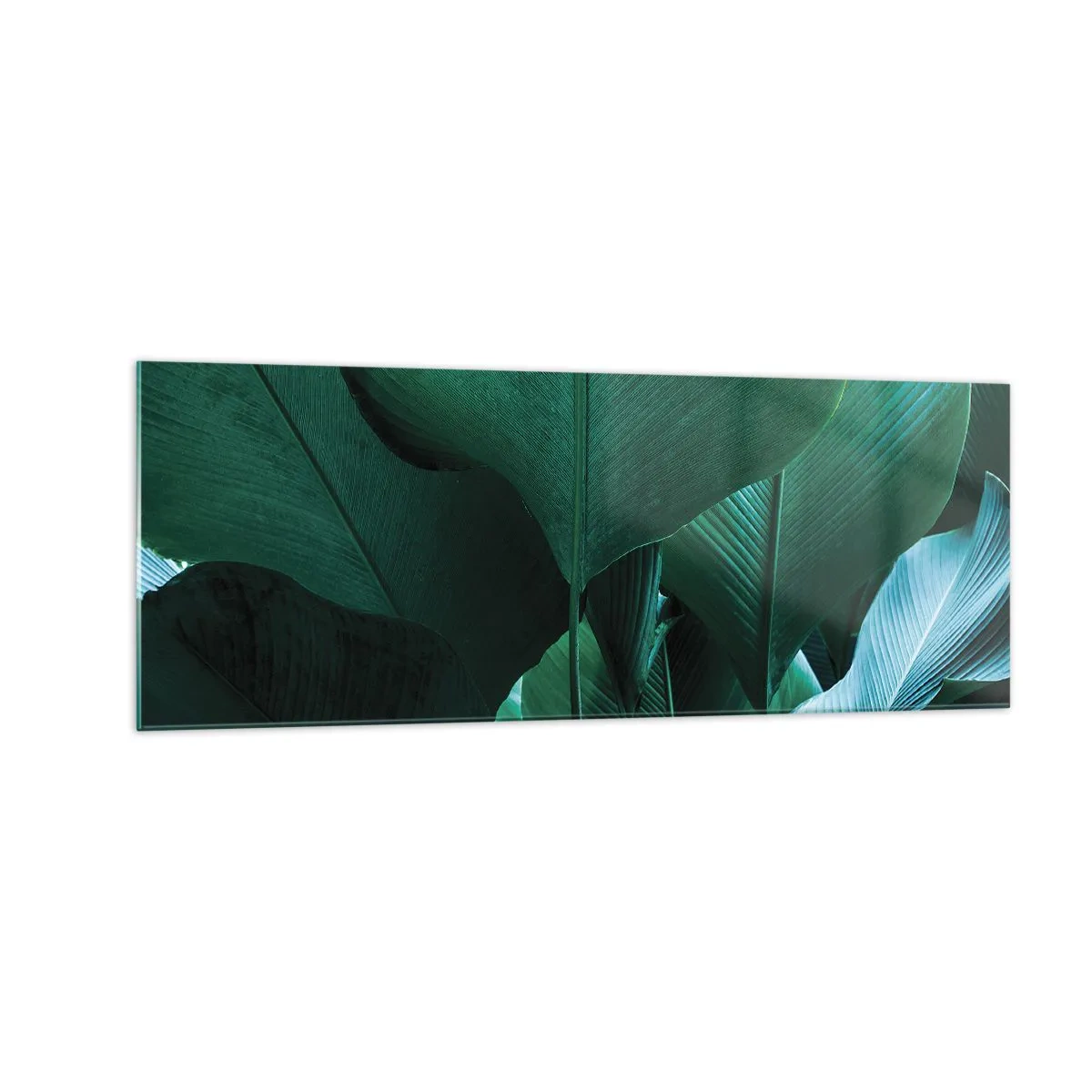 Glasbild - Bild auf glas - Grüne Blätter in minimalistischer Komposition - 140x50cm - Dem Licht zugewandt - Moderne Wanddekoration für Wohnzimmer und Schlafzimmer ARTTOR