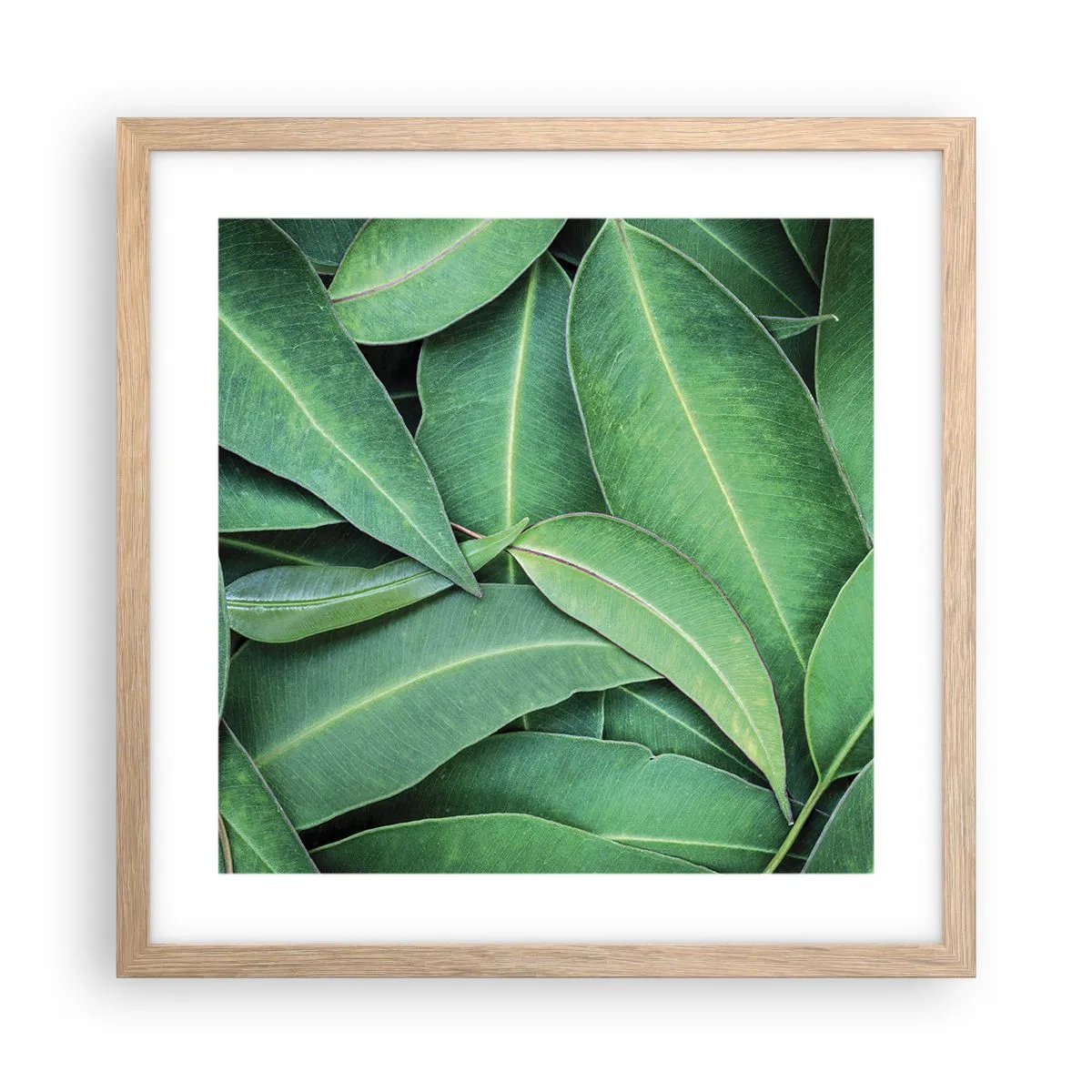 Poster in einem Rahmen aus heller Eiche - Saftig und frisch - 40x40 cm