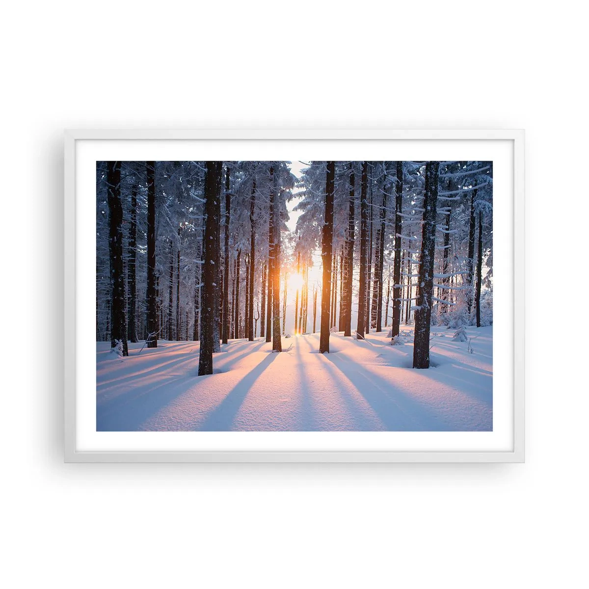 Poster in einem weißen Rahmen - Ganz klar schwarz auf weiß - 70x50 cm