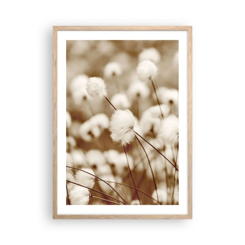 Poster in einem Rahmen aus heller Eiche - Flauschiges Kornfeld - 50x70 cm