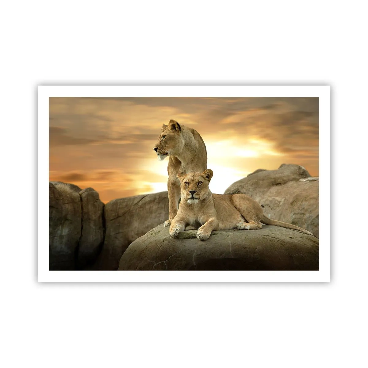 Poster - Königliche Majestät - 91x61 cm
