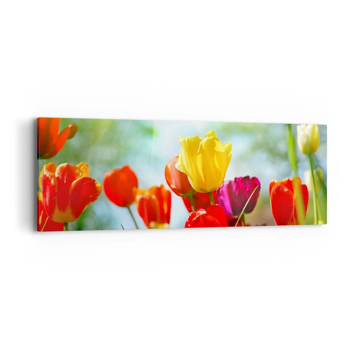 Bild auf Leinwand - Leinwandbild - Alle Farben der Sonne - 90x30 cm