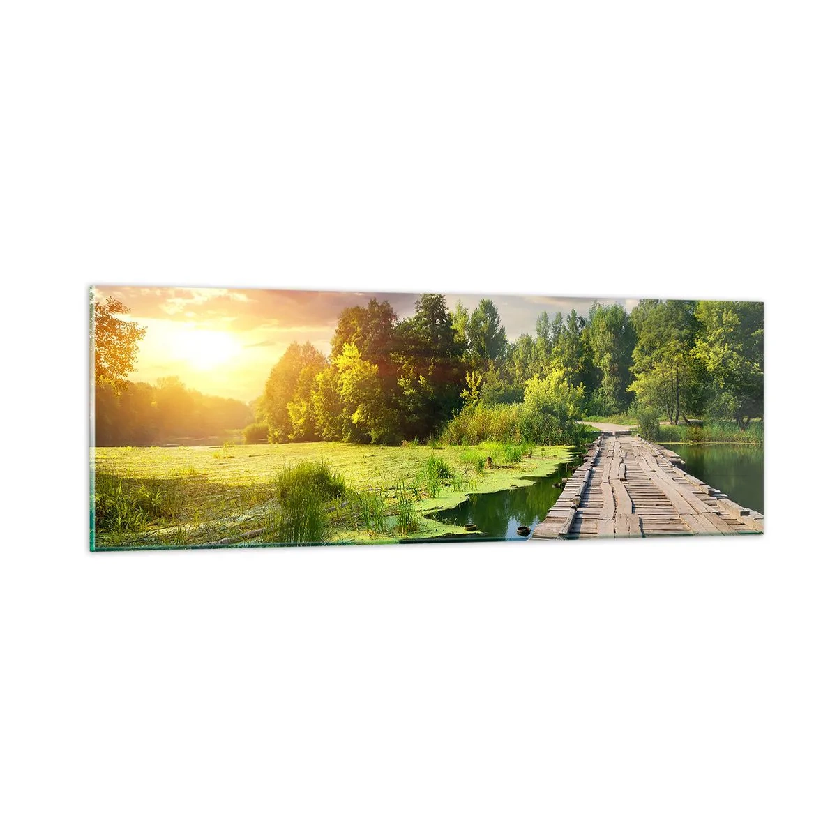 Glasbild - Bild auf glas - Sommer, Sommer überall - 90x30 cm