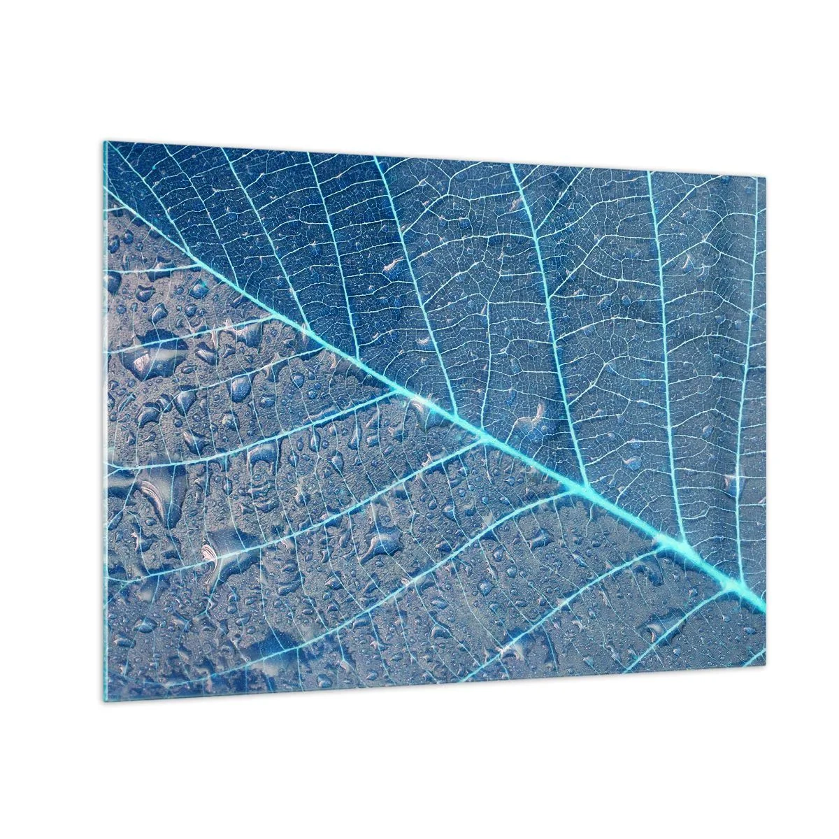 Glasbild - Bild auf glas - Makrofotografie eines Blattes mit Wassertropfen in Blautönen - 70x50cm - Leben in Blau - Moderne Wanddekoration für Wohnzimmer und Schlafzimmer ARTTOR