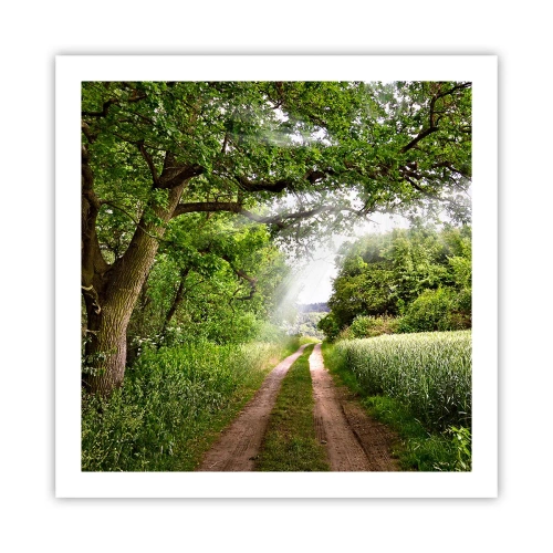 Poster - Et in Arcadia ego - 60x60 cm