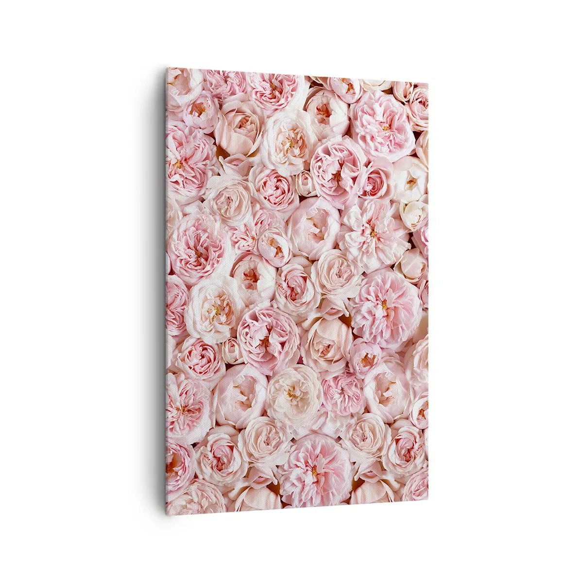 Bild auf Leinwand - Leinwandbild - Zarte Rosen in Rosatönen auf der gesamten Oberfläche - 80x120cm - Auf Rosen gebettet - Moderne Wanddekoration für Wohnzimmer und Schlafzimmer ARTTOR