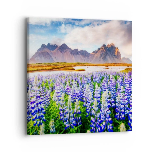 Bild auf Leinwand - Leinwandbild - Kraft und Strenge neben Sanftmut - 40x40 cm