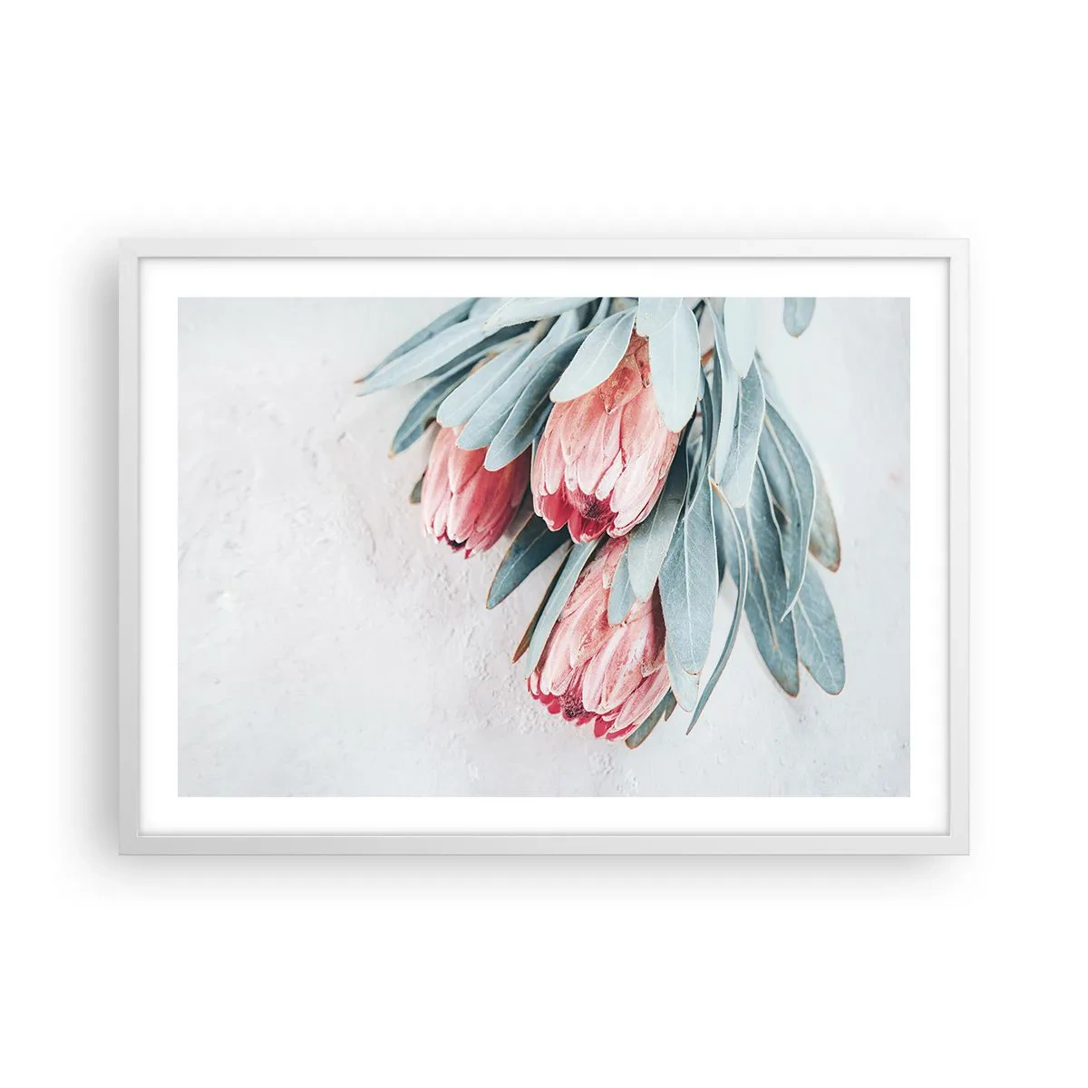 Poster in einem weißen Rahmen - Schämen sich für ihre eigene Schönheit - 70x50 cm