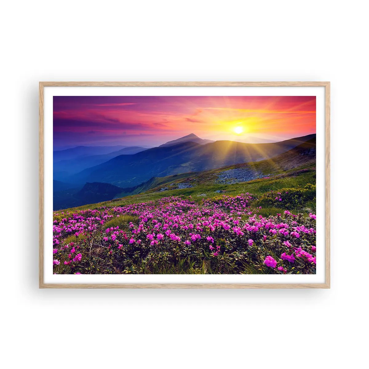 Poster in einem Rahmen aus heller Eiche - … Und drumherum duftet es nach Latschenkiefer und dem Duft von Kräutern - 100x70 cm