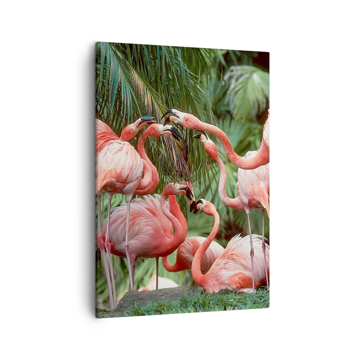 Bild auf Leinwand - Leinwandbild - Eine Gruppe von Flamingos in einer tropischen Umgebung, umgeben von Palmen - 50x70cm - Nachmittagsklatsch - Moderne Wanddekoration für Wohnzimmer und Schlafzimmer ARTTOR