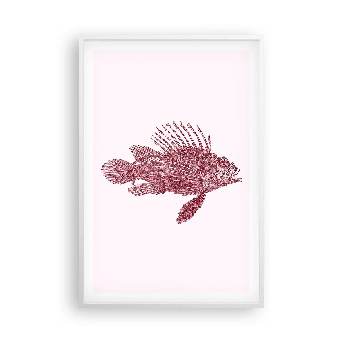 Poster in einem weißen Rahmen - Bewohner exotischer Gewässer - 61x91 cm