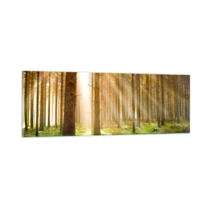 Glasbild - Bild auf glas - Die Elfen werden bald erscheinen - 90x30 cm